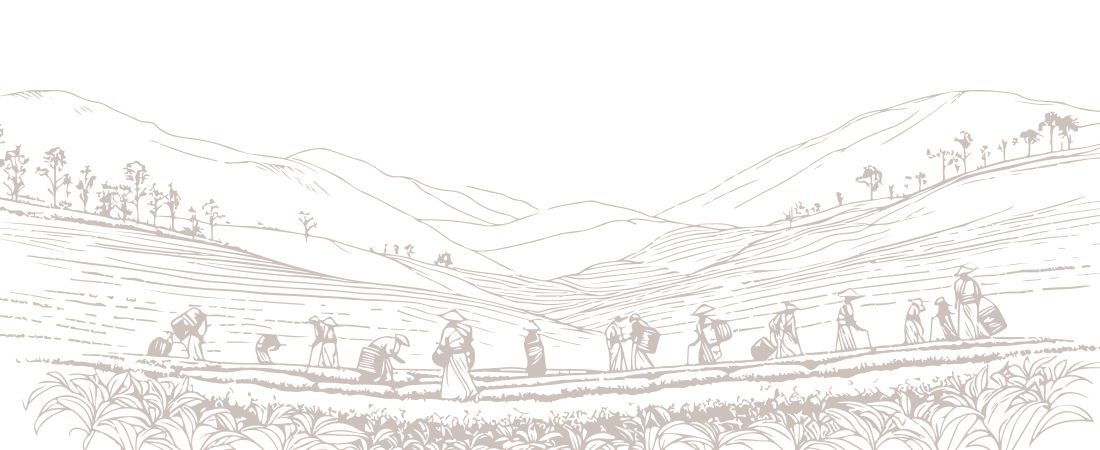 background-texture